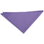 Suede Pocket Square - French Rose - Well Dapper